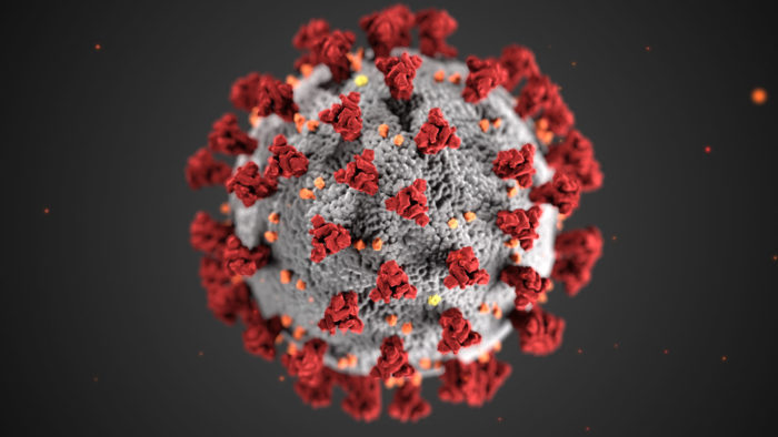 COVID-19 cell diagram