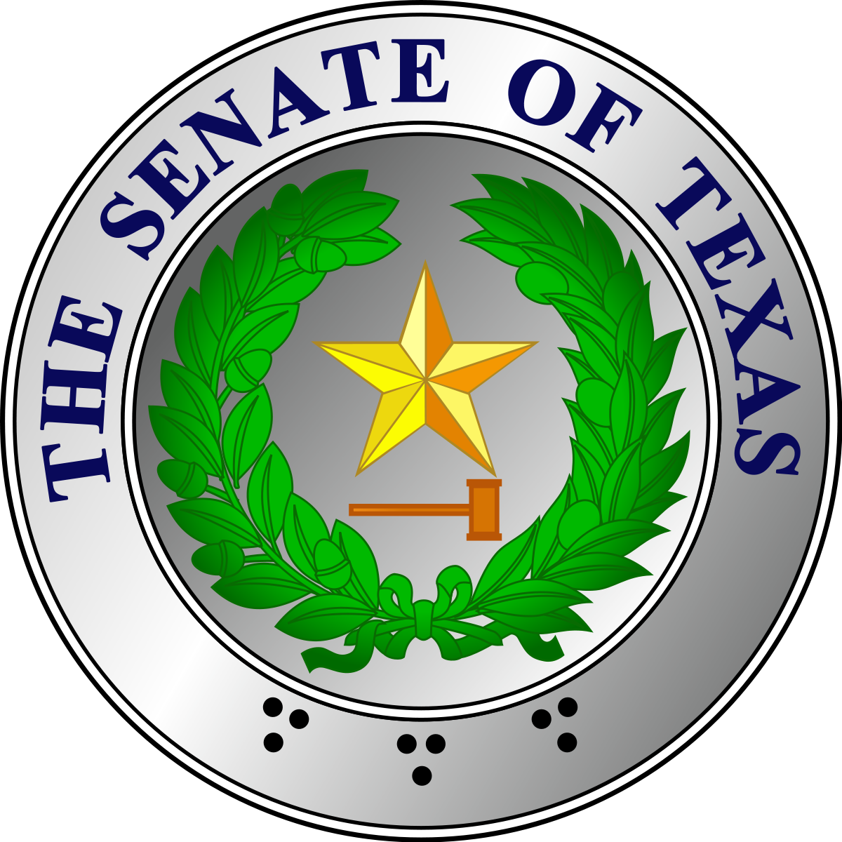 texas senate committee assignments